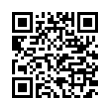 QR Code (код быстрого отклика)