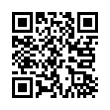 QR Code (код быстрого отклика)