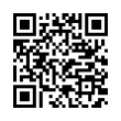 QR Code (код быстрого отклика)