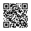 QR Code (код быстрого отклика)