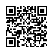 QR Code (код быстрого отклика)