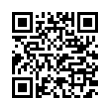 QR Code (код быстрого отклика)