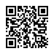 QR Code (код быстрого отклика)