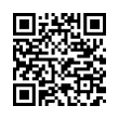 QR Code (код быстрого отклика)