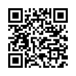 QR Code (код быстрого отклика)