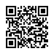 QR Code (код быстрого отклика)