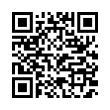 QR Code (код быстрого отклика)