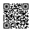 QR Code (код быстрого отклика)