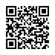 QR Code (код быстрого отклика)