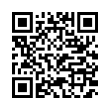 QR Code (код быстрого отклика)