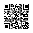 QR Code (код быстрого отклика)