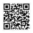 QR Code (код быстрого отклика)