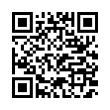 QR Code (код быстрого отклика)