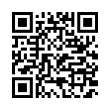 QR Code (код быстрого отклика)