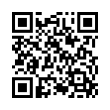 QR Code (код быстрого отклика)