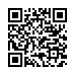 QR Code (код быстрого отклика)