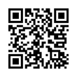 QR Code (код быстрого отклика)