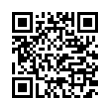 QR Code (код быстрого отклика)