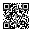QR Code (код быстрого отклика)