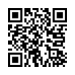 QR Code (код быстрого отклика)