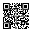 QR Code (код быстрого отклика)