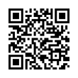 QR Code (код быстрого отклика)