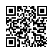 QR Code (код быстрого отклика)