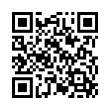 QR Code (код быстрого отклика)