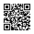 QR Code (код быстрого отклика)