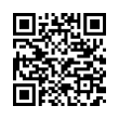 QR Code (код быстрого отклика)