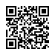 QR Code (код быстрого отклика)