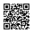 QR Code (код быстрого отклика)