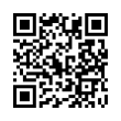 QR Code (код быстрого отклика)