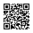 QR Code (код быстрого отклика)