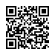 QR Code (код быстрого отклика)