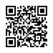 QR Code (код быстрого отклика)