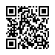 QR Code (код быстрого отклика)