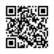 QR Code (код быстрого отклика)