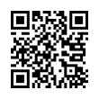 QR Code (код быстрого отклика)