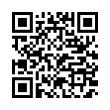 QR Code (код быстрого отклика)