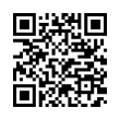 QR Code (код быстрого отклика)