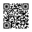 QR Code (код быстрого отклика)