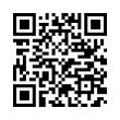 QR Code (код быстрого отклика)