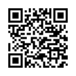 QR Code (код быстрого отклика)