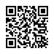 QR Code (код быстрого отклика)