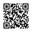 QR Code (код быстрого отклика)