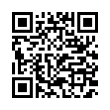 QR Code (код быстрого отклика)