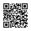 QR Code (код быстрого отклика)