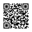 QR Code (код быстрого отклика)