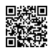 QR Code (код быстрого отклика)